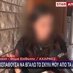 Αχαρνές: Σκύλος Σκότωσε Μαλτέζ & Τραυμάτισε Την ΙδιοκτήτριαΑχαρνές: Σκύλος