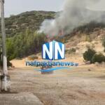 Φωτιά Στο Πεδίο Βολής στο Μεσολόγγι - Σηκώθηκαν Εναέρια Μέσα