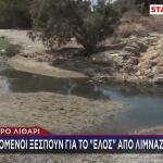 Μαύρο Λιθάρι: Πολίτες Ξεσπούν Για Το Έλος Στην Παραλία