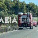Φωτιές σε Άγιο Όρος και Ηλεία – Μεγάλη κινητοποίηση