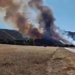 Φωτιά Στην Περιοχή Κανδήλι, Στα Μέγαρα
