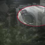 Αγέλη Λύκων Επιτέθηκε Και Κατασπάραξε Σκύλο Στη Φυλή
