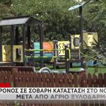14χρονος περιοχή ξυλοδαρμού