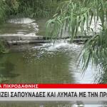 Ρέμα Πικροδάφνης: Γεμίζει λύματα και σαπουνάδες με τη Bροχή