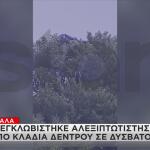 Τρίκαλα: Έκανε Παραπέντε Και Εγκλωβίστηκε Σε Δέντρο