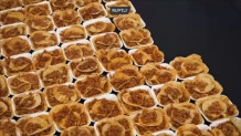 Φεστιβάλ Tacos- Tacos