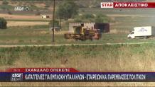 ΟΠΕΚΕΠΕ: Έπιασαν Ελιές & Αμυγδαλιές Στις Κορυφές