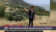 Βορίζια: Πριν Το Μακελειό Μάθαιναν Στα Παιδιά Να Στοχεύουν