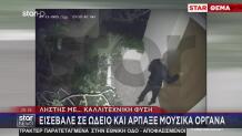 Χειροπέδες Στον «Μπολτ» Της Εγκληματικότητας