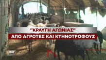 Αγρότες