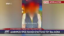 Σύλληψη Γνωστού Γκαλερίστα: Κατασχέθηκαν Πλαστοί Πίνακες