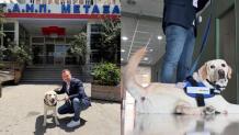 Νοσοκομείο «Μεταξά» - Ντύλαν