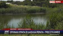 Θέρμη: Έριχναν Λύματα Σε Δάση Και Ρέματα