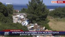 Νέα Ποτίδαια Χαλκιδικής  μπάζα