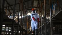 Έμπολα: Έκτακτη Συνάντηση Υπουργών Υγείας Για Την Επιδημία