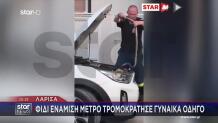 Λάρισα: Φίδι Ενάμιση Μέτρου Τρομοκράτησε Γυναίκα Οδηγό