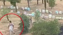 Φωτιά Άλσος Βεΐκου: Συνελήφθη Μελισσοκόμος