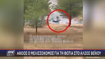 Αθώος Ο Μελισσοκόμος Για Τη Φωτιά Στο Άλσος Βεΐκου