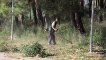 Καθαρισμός Οικοπέδων