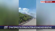 Φωτιά Βοιωτία: Ήχησε Το 112 - Σηκώθηκαν Εναέρια Μέσα