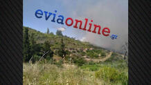 Φωτιά στην Εύβοια: Μεγάλη κινητοποίηση στο Σπαθάρι με 11 εναέρια