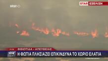 Φωτιά Φθιώτιδα: Στάχτη Κτηνοτροφικές Μονάδες