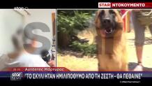 Βάρη: Αστυνομικοί Έσπασαν Αυτοκίνητο Για Να Σώσουν Λυκόσκυλο