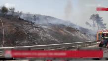 Φωτιά Κοντά Στα Διόδια Αφιδνών