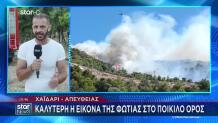 Φωτιά Στην Περιφερειακή Αιγάλεω: Εκκενώνεται Το Δαφνί