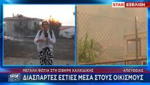 Φωτιά Στη Σίβηρη Χαλκιδικής