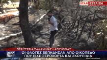 Σαλαμίνα φωτιά