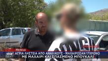Μενίδι