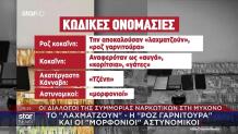«Σούπερ Μάρκετ» Ναρκωτικών Στη Μύκονο: Το Λεξικό Του Καρτέλ & Οι Διάλογοι