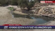 Μαύρο Λιθάρι: Πολίτες Ξεσπούν Για Το Έλος Στην Παραλία