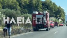 Φωτιές σε Άγιο Όρος και Ηλεία – Μεγάλη κινητοποίηση