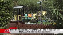 14χρονος περιοχή ξυλοδαρμού