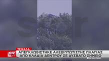 Τρίκαλα: Έκανε Παραπέντε Και Εγκλωβίστηκε Σε Δέντρο