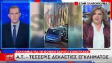 Συλλήψεις πλάκα