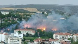 Φωτιά Λιβαδειά