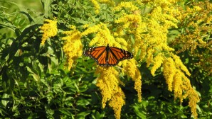 Εαρινή Ισημερία