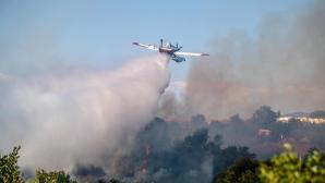 Φωτιά Τώρα Στον Πρόδρομο Βοιωτίας
