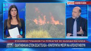 συλλήψεις για εμπρησμούς