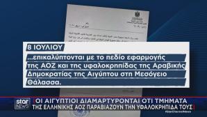 ρηματική διακοίνωση Αιγύπτου