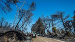 Περιορίστηκε Η Αναζωπύρωση Της Φωτιάς Στο Χελιδόνι