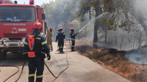 Μέχρι την Τετάρτη ο πολύ υψηλός κίνδυνος πυρκαγιάς