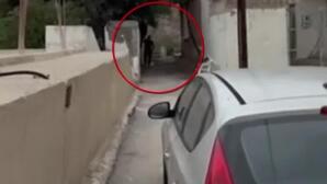 Βορίζια: Βίντεο Ντοκουμέντο Με Τον Γαμπρό Του 39χρονου