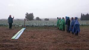 Φάρμα: Aυτή είναι η τελευταία αποστολή του επιστάτη