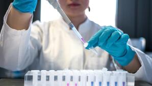 «Εποχές» Του Εγκεφάλου