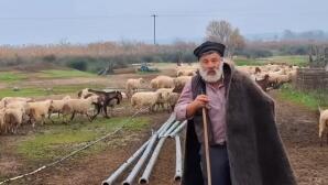 Με Εγκεφαλικό Ο Viral Κτηνοτρόφος Που Θρηνούσε Τα Ζώα Του