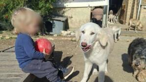 Ζάκυνθος: Σπαράζει Ο Πατέρας Του 2χρονου Λίο